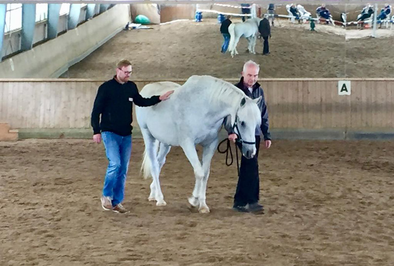 Kommunikation II Seminar bei Equess