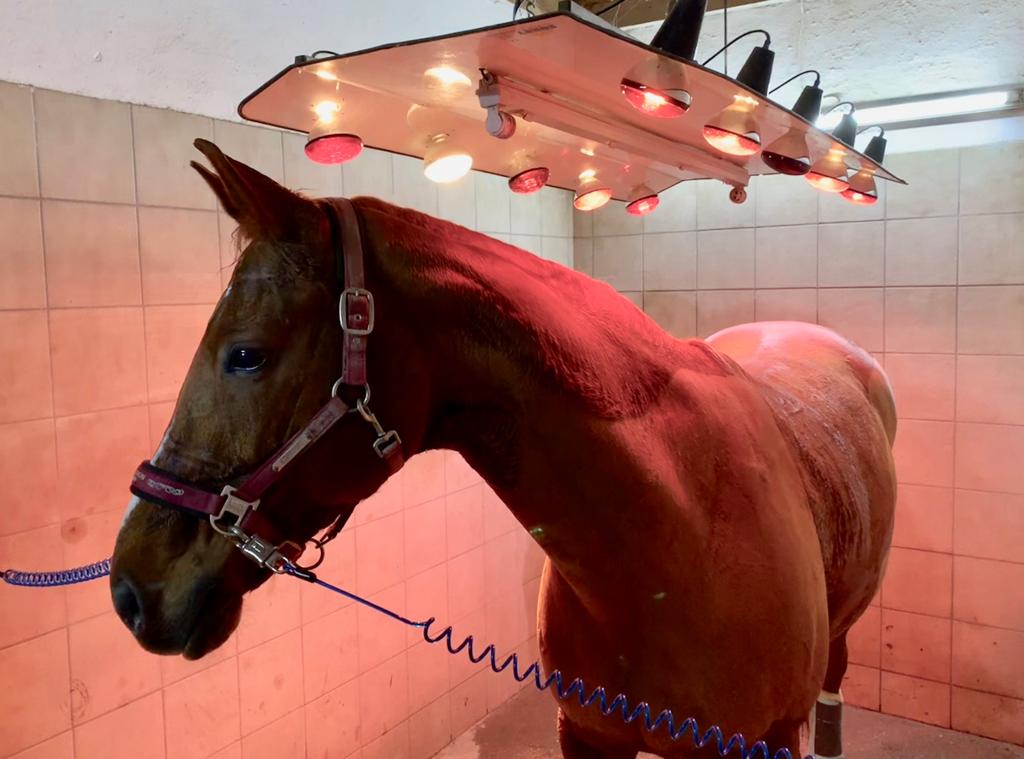 Solarium auf der Reitsportanlage Obereichet