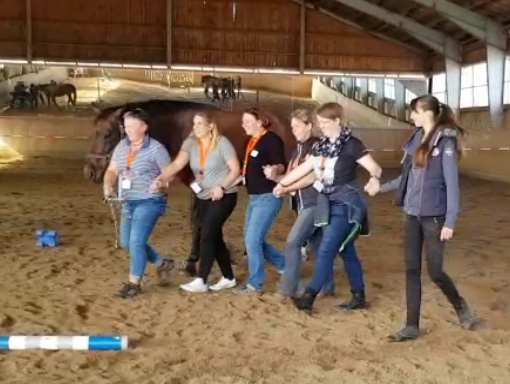 Teambuilding bei Equess